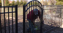 Install Hinges Aluminum Gate With Stonecliff Sunrise Arch in San Marino Style Aluminum Fence