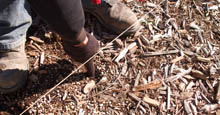 Mark Post Holes Marking Where Aluminum Fence and Gate Posts Will Be Installed In The Landscape